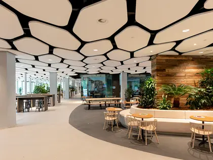Solutions: Acoustic Ceiling system | Ecophon